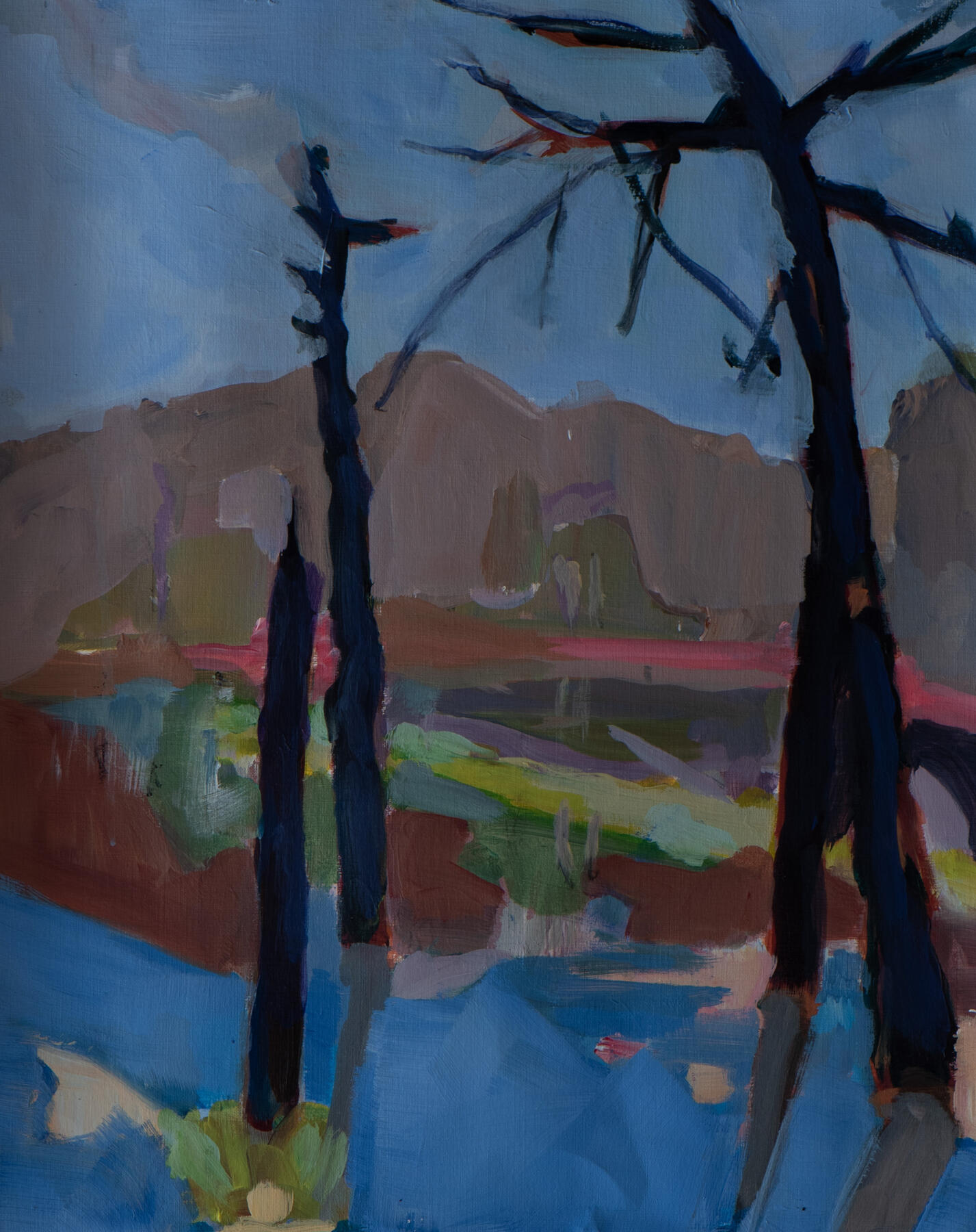 Morbi enim nunc faucibus